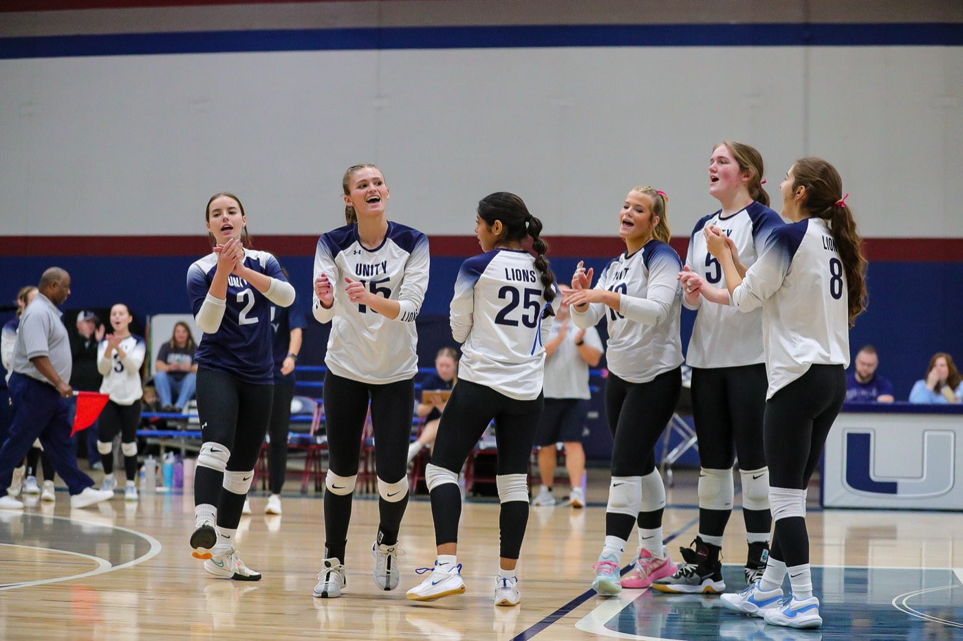 Unity volleyball